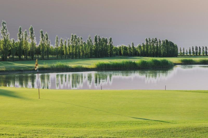 Image for Ferrara Golf