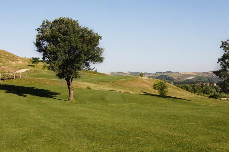 Image for Golf & Country Club Riolo Terme - La Torre